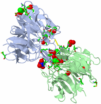 Image Biol. Unit 1 - sites