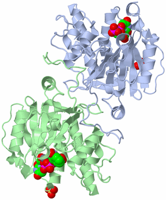 Image Asym./Biol. Unit