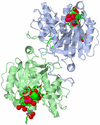 Image Asym./Biol. Unit - sites