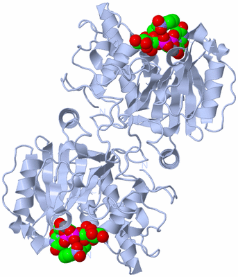 Image Biological Unit 1