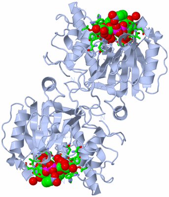 Image Biol. Unit 1 - sites