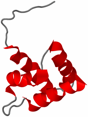 Image NMR Structure - model 1
