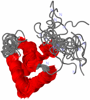 Image NMR Structure - all models