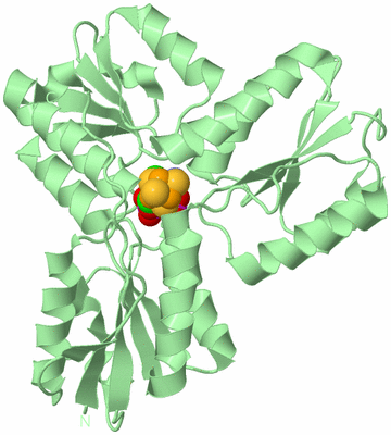 Image Biological Unit 2