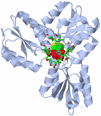 Image Biol. Unit 1 - sites