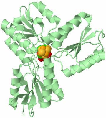 Image Biological Unit 2