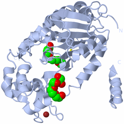 Image Biological Unit 1