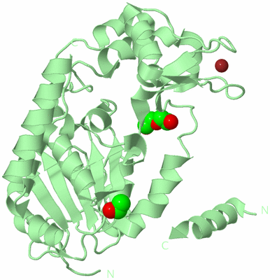 Image Biological Unit 2