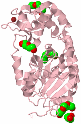 Image Biological Unit 3