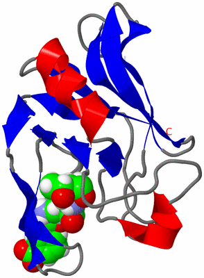 Image NMR Structure - model 1