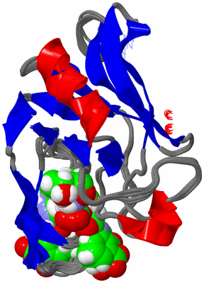 Image NMR Structure - all models