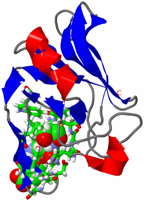 Image NMR Structure - model 1, sites