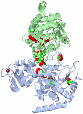 Image Asym./Biol. Unit