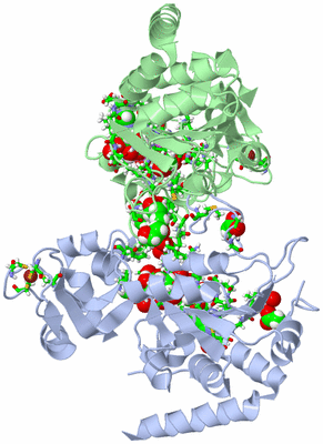 Image Asym./Biol. Unit - sites