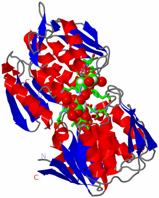 Image Asym./Biol. Unit - sites