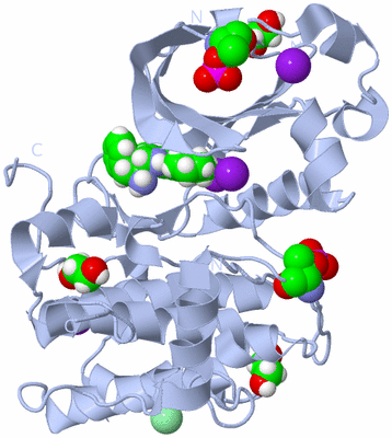 Image Biological Unit 1