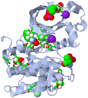 Image Biol. Unit 1 - sites