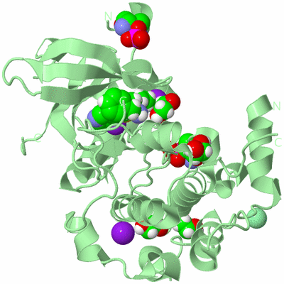 Image Biological Unit 2