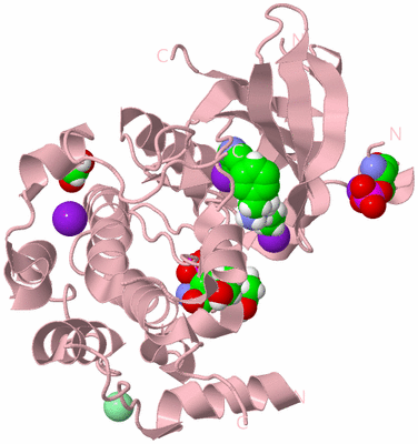 Image Biological Unit 3