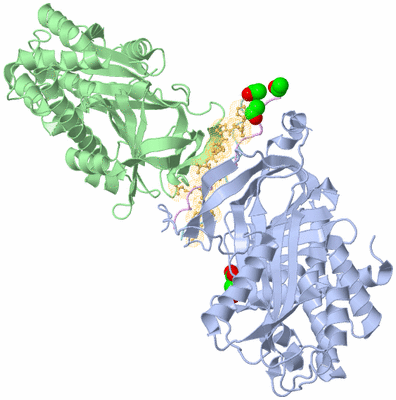 Image Biological Unit 1