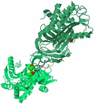 Image Biological Unit 2