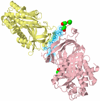 Image Biological Unit 3