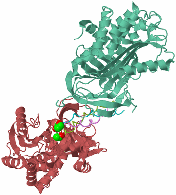 Image Biological Unit 4