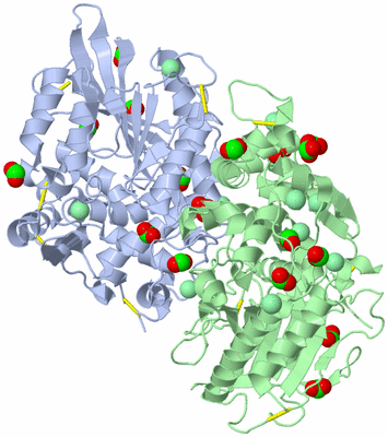 Image Asym./Biol. Unit