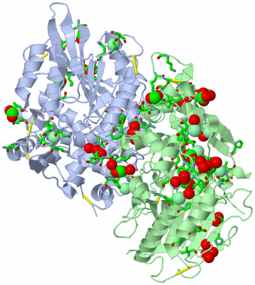 Image Asym./Biol. Unit - sites