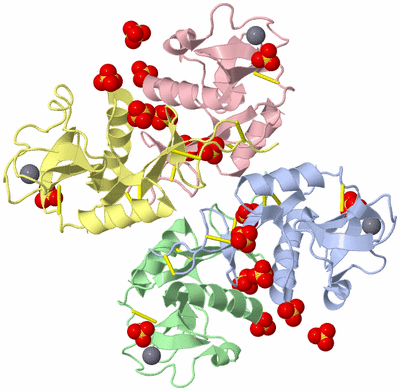 Image Asym./Biol. Unit