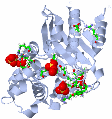 Image Biol. Unit 1 - sites