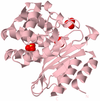 Image Biological Unit 3