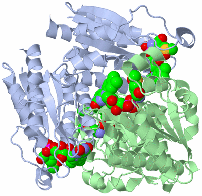 Image Biological Unit 1