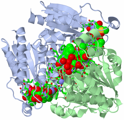 Image Biol. Unit 1 - sites