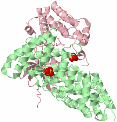 Image Biological Unit 2