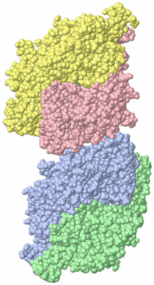 Image Asymmetric Unit