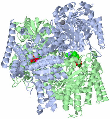 Image Biological Unit 1