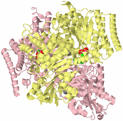 Image Biological Unit 2