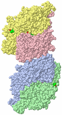 Image Asym. Unit - sites