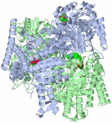 Image Biological Unit 1