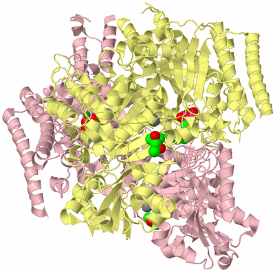 Image Biological Unit 2