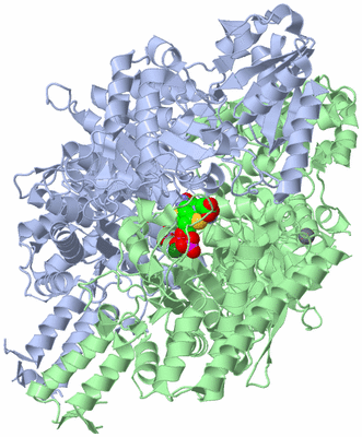 Image Biological Unit 1