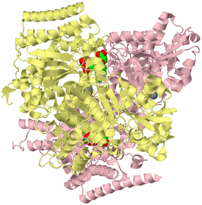 Image Biological Unit 2