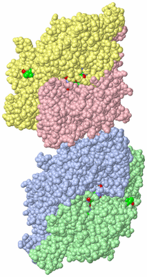 Image Asym. Unit - sites