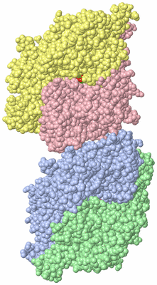 Image Asymmetric Unit