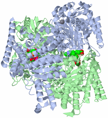 Image Biological Unit 1