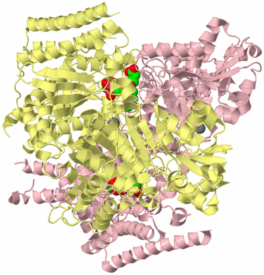 Image Biological Unit 2