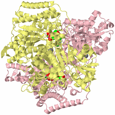 Image Biological Unit 1