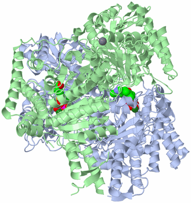 Image Biological Unit 2