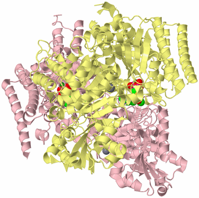 Image Biological Unit 1